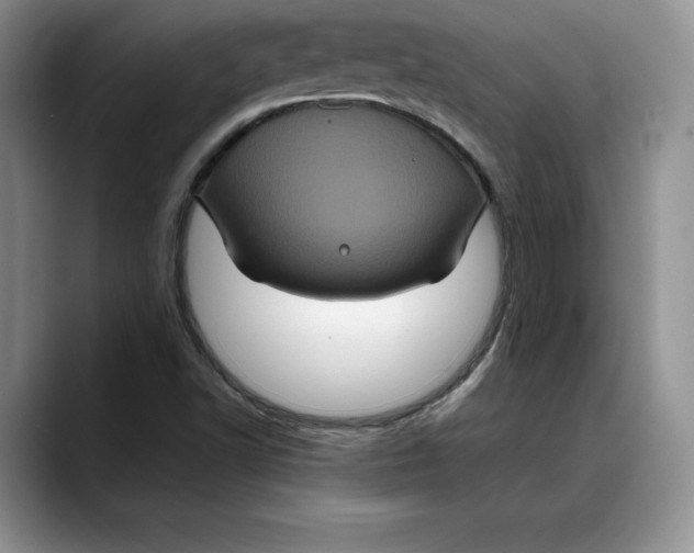 X0000088481502200706121521
