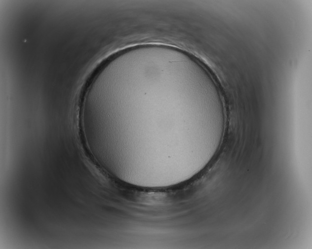 X0000088481503200706121521