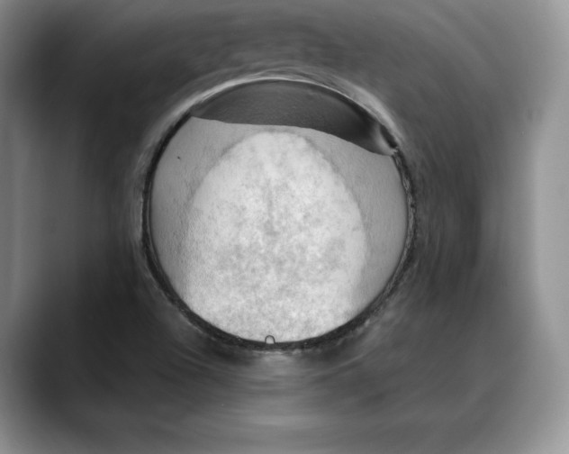 X0000088481504200706121521