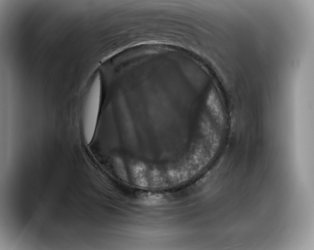 X0000088481505200706121521
