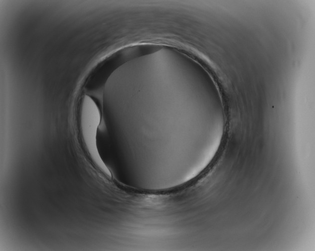 X0000088481506200706121521