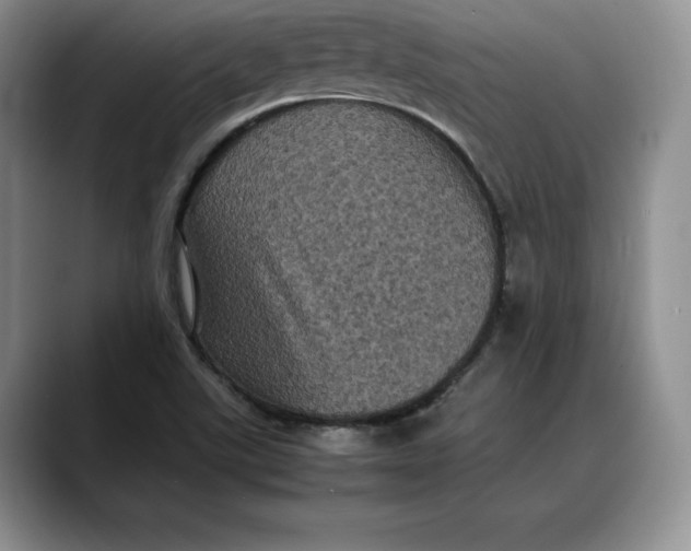 X0000088481507200706121521