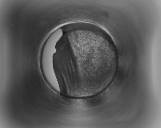X0000088481508200706121521