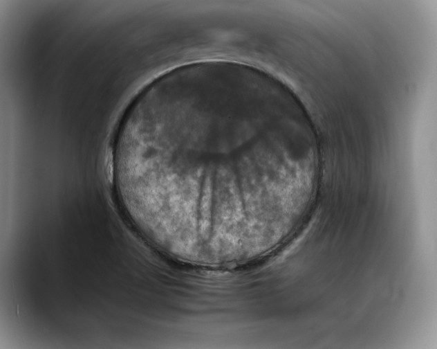 X0000088481509200706121521