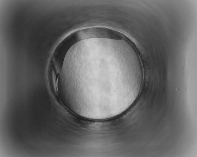 X0000088481510200706121521