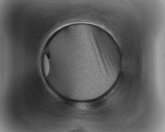 X0000088481511200706121521
