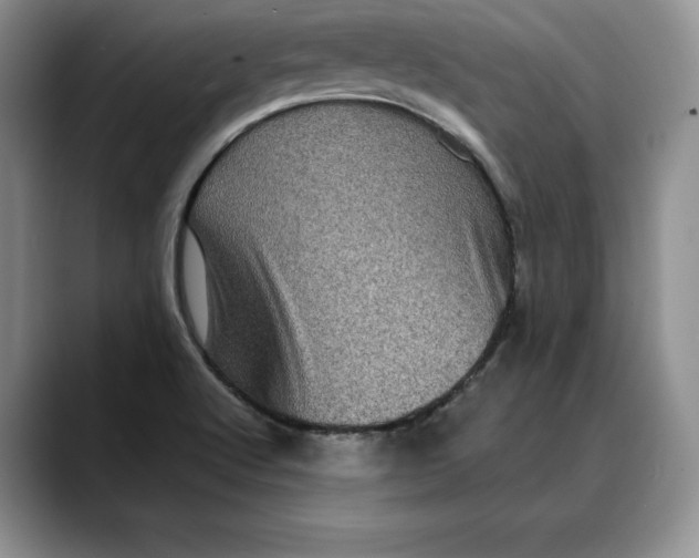 X0000088481512200706121521