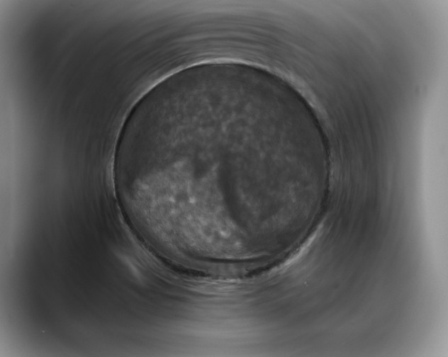 X0000088481513200706121521