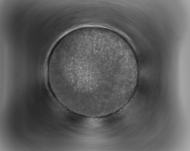 X0000088481514200706121521