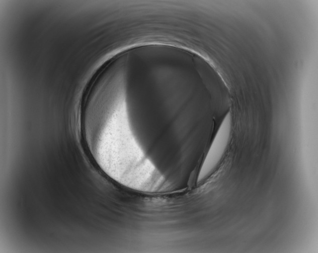 X0000088481515200706121521