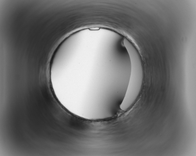 X0000088481516200706121521