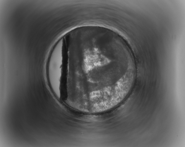 X0000088481517200706121521