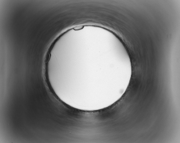 X0000088481518200706121521