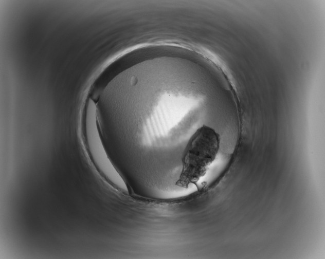 X0000088481520200706121521