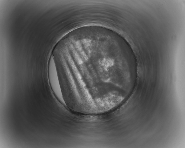 X0000088481521200706121521