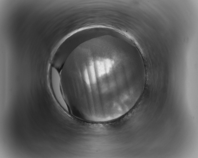 X0000088481524200706121521