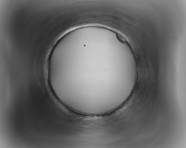 X0000088481526200706121522