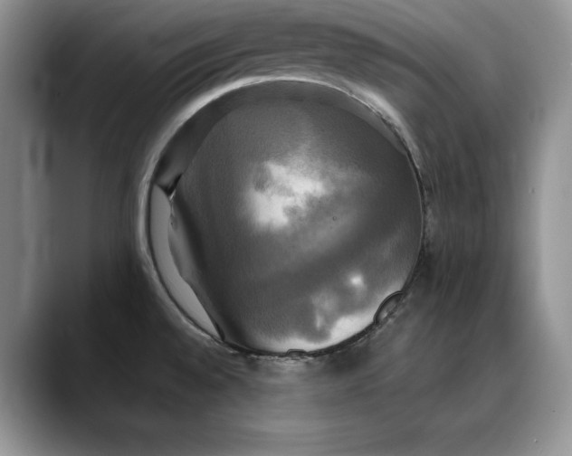 X0000088481528200706121522