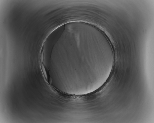 X0000088481529200706121522