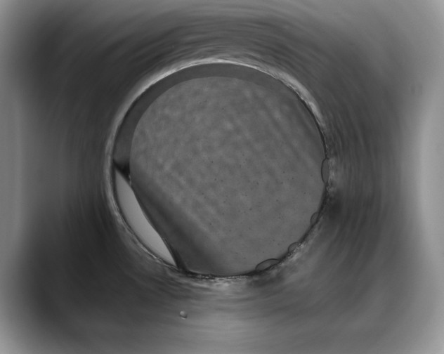 X0000088481530200706121522