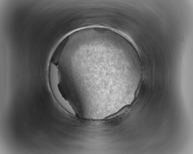 X0000088481532200706121522
