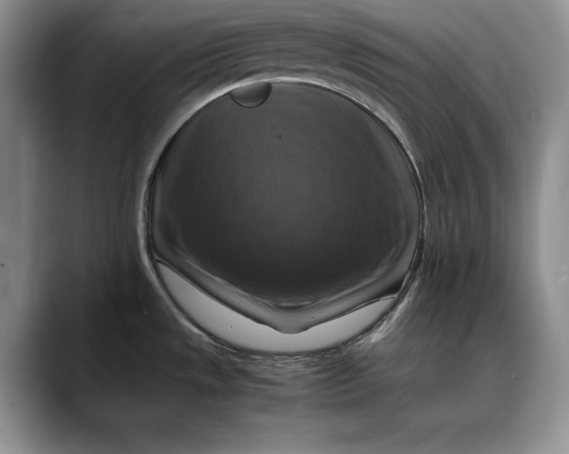 X0000088481533200706121522