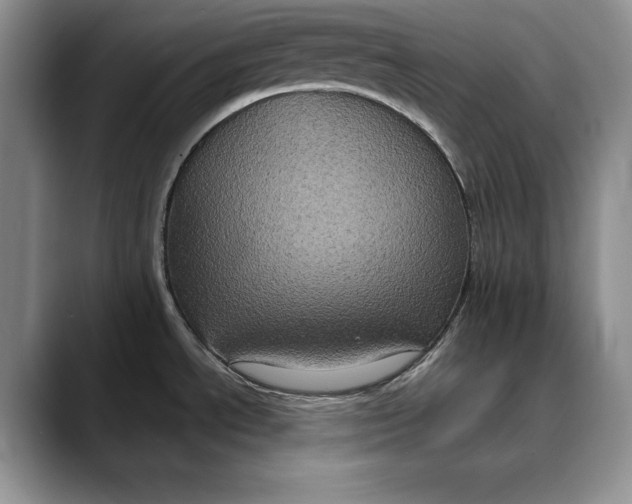 X0000088481534200706121522