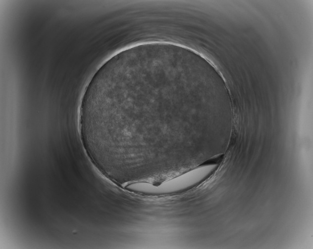 X0000088481535200706121522