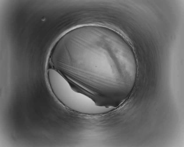 X0000088481536200706121522
