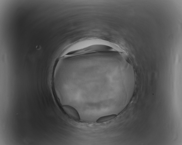 X0000088480003200706191415