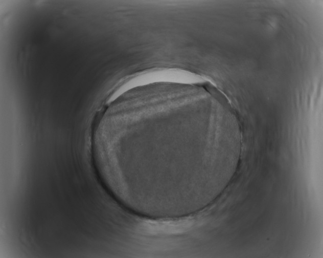 X0000088480005200706191415