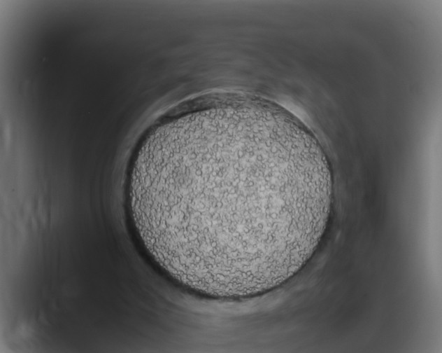 X0000088480007200706191415