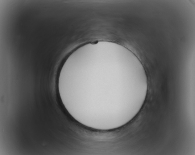 X0000088480008200706191415