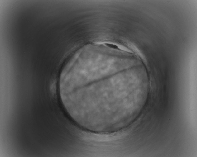 X0000088480010200706191415