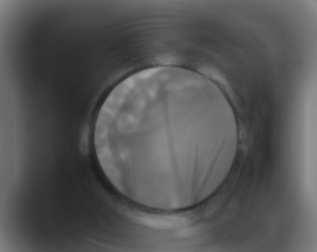 X0000088480012200706191415