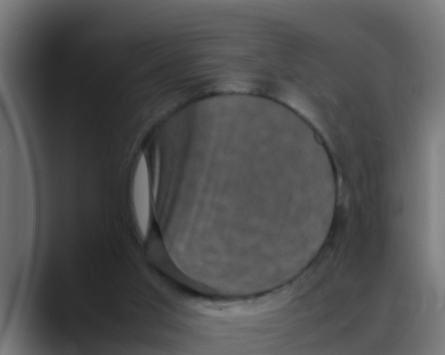 X0000088480013200706191415