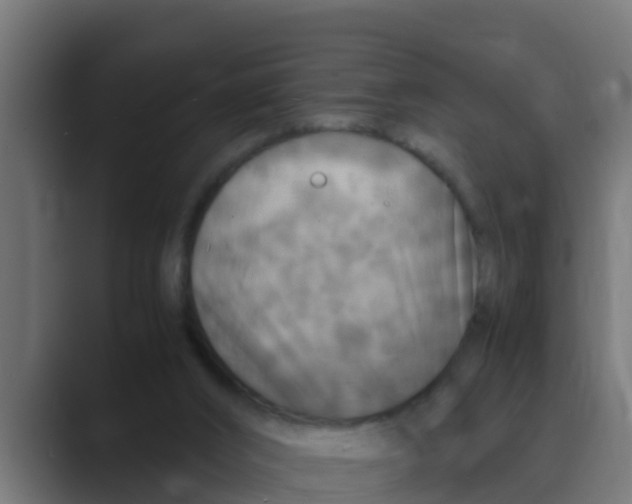 X0000088480016200706191415