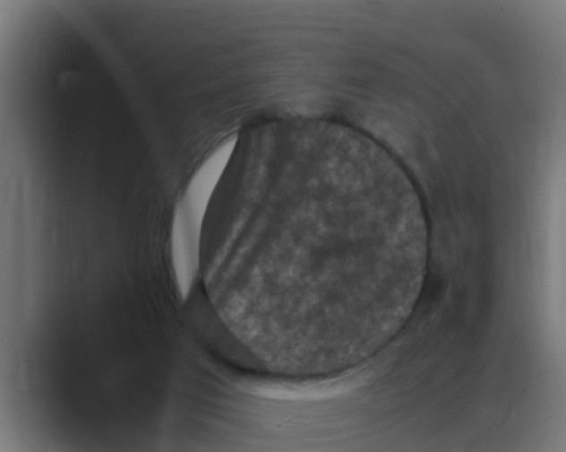 X0000088480017200706191415