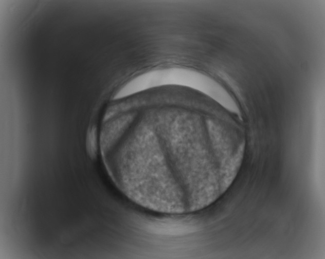 X0000088480020200706191414