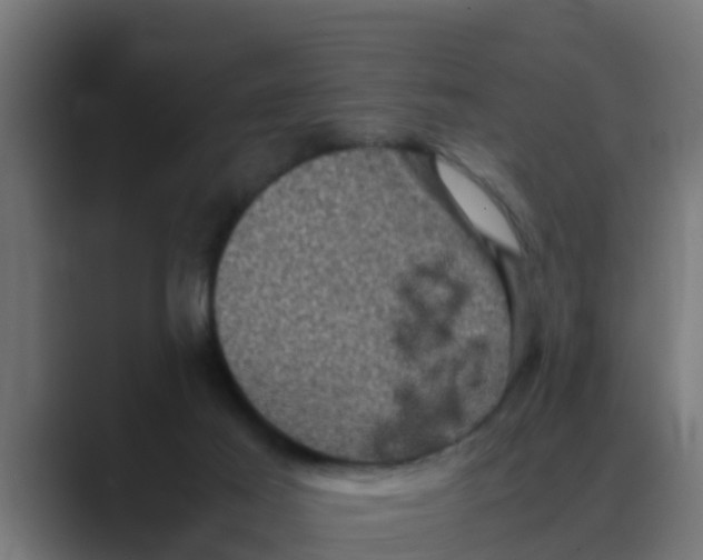 X0000088480021200706191414