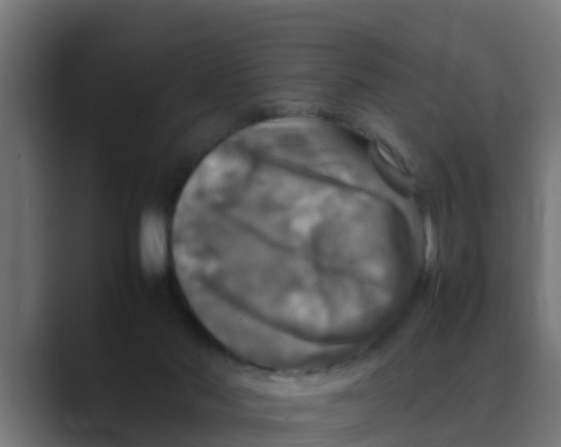 X0000088480022200706191414