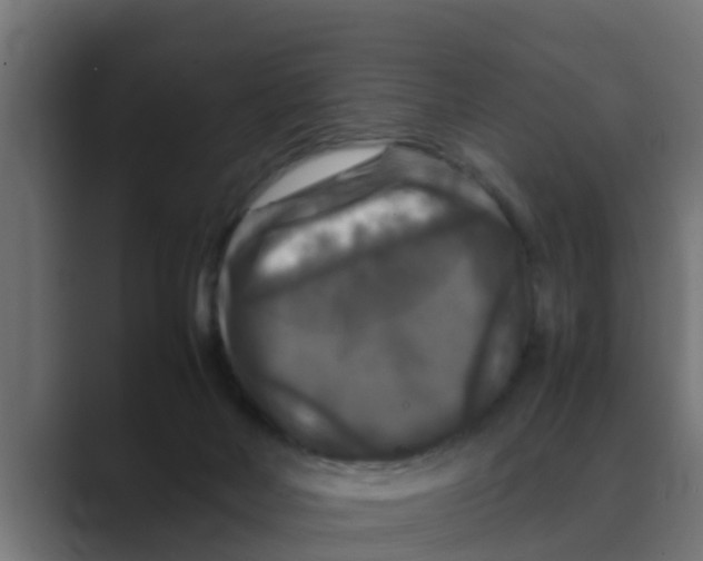 X0000088480026200706191414