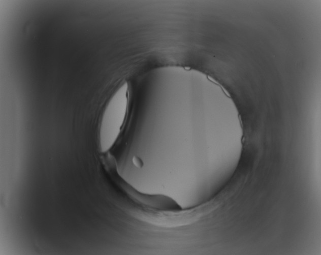 X0000088480027200706191414