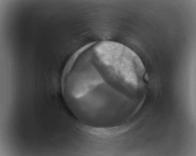 X0000088480030200706191414