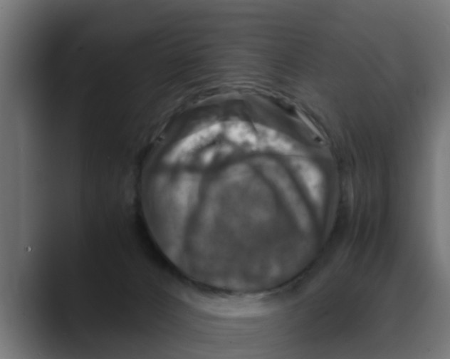 X0000088480032200706191414