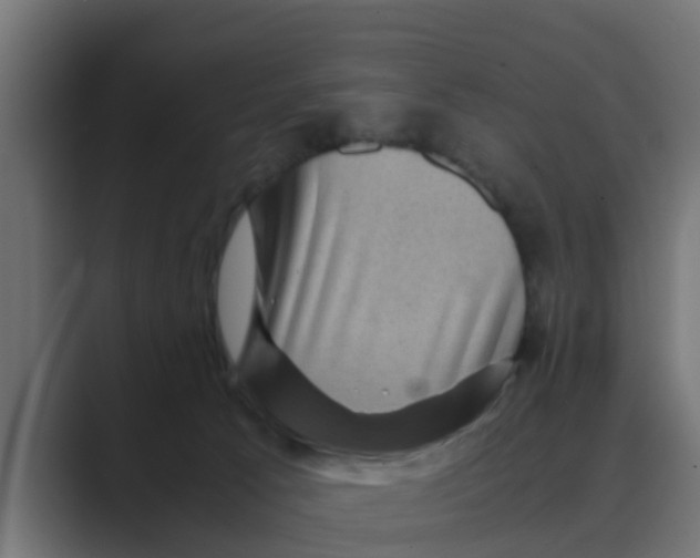 X0000088480033200706191414