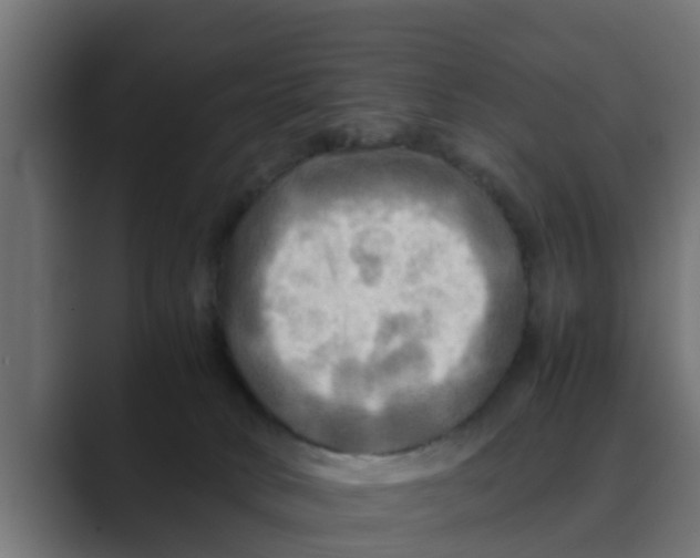 X0000088480034200706191414