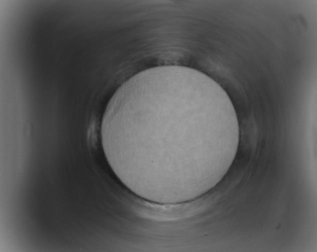 X0000088480038200706191414