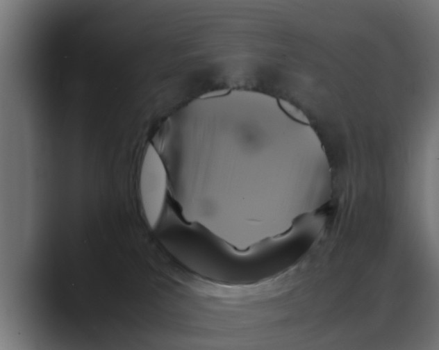 X0000088480039200706191414