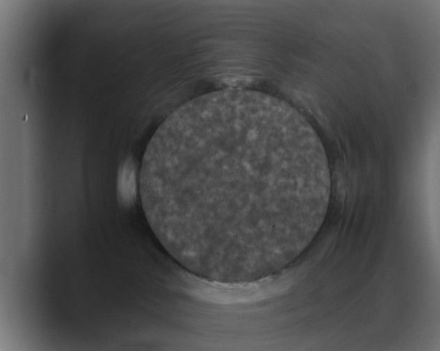 X0000088480042200706191414